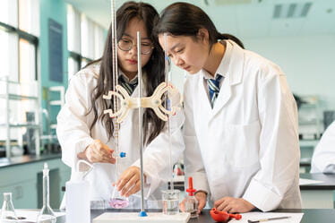 lab